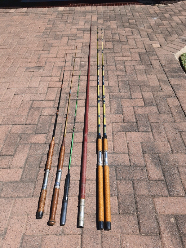 Fishing rods ( dam & sea)