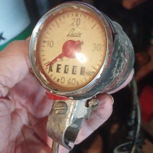 Lucia speedo, for Raleigh
