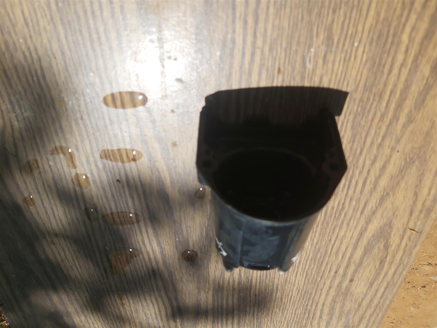 Distributor cap Daewoo Cielo - Private Seller Distributor cap Daewoo Cielo - Private Seller