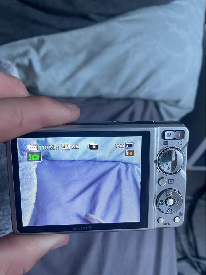 Sony Cameras