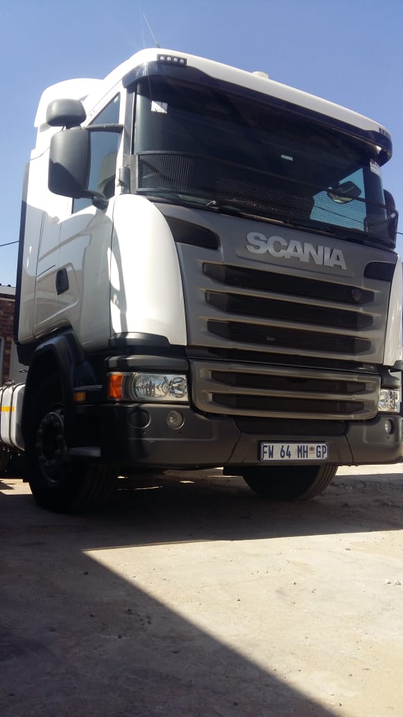 Scania horses for sale