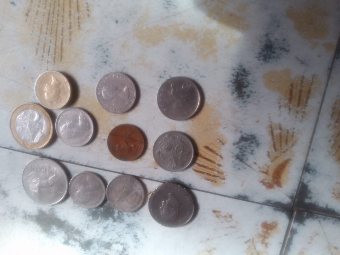 Century Coins