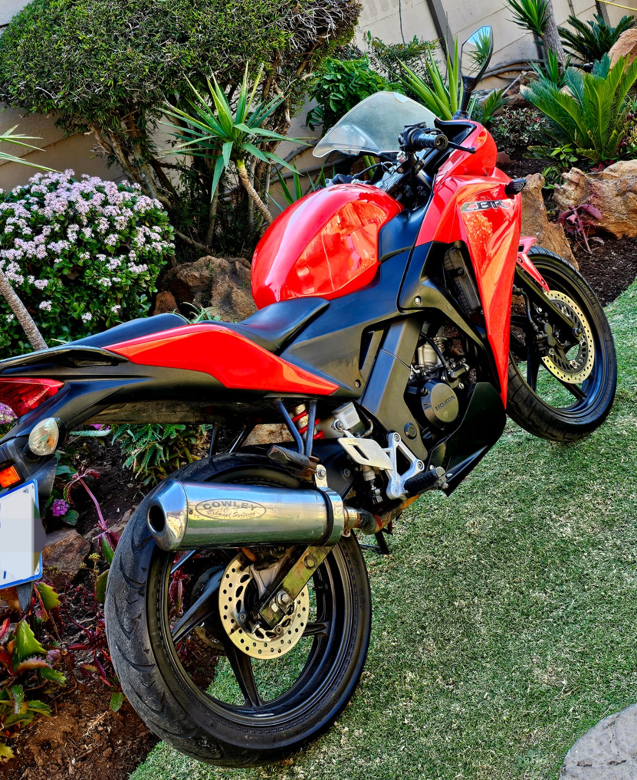 Preloaded Image 3