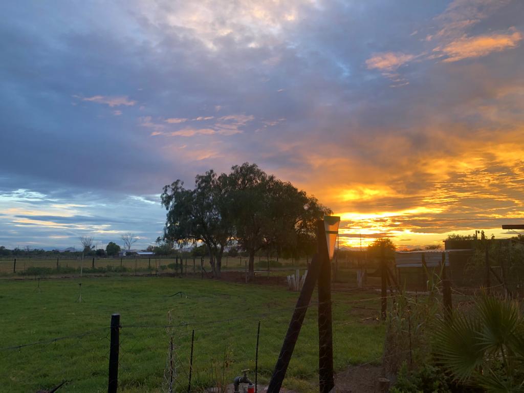 3 Bedroom Small Holding for Rent in Aberdeen Eastern Cape Junk Mail