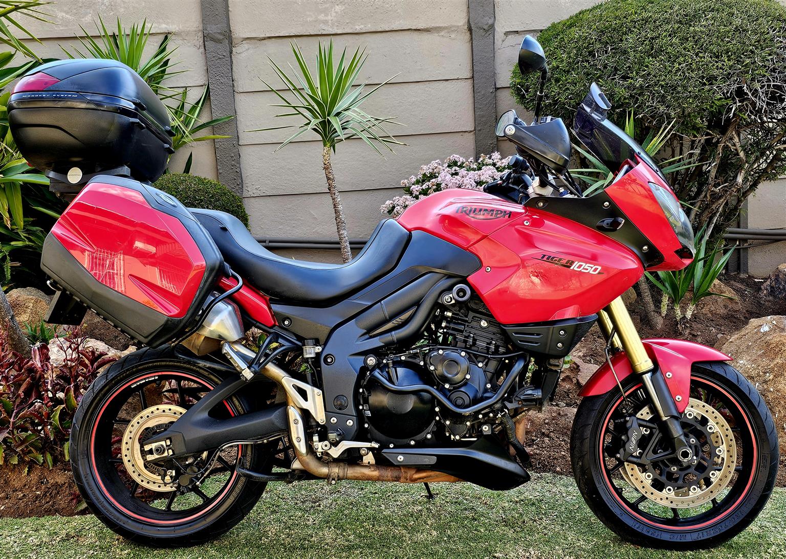 Used 2013 Triumph Tiger 1050 - Private Seller Used 2013 Triumph Tiger 1050 - Private Seller