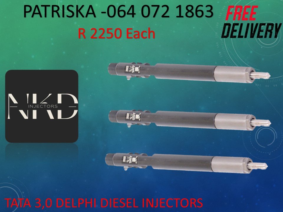 TATA 3,0 DELPHI DIESEL INJECTORS - Private Seller TATA 3,0 DELPHI DIESEL INJECTORS - Private Seller
