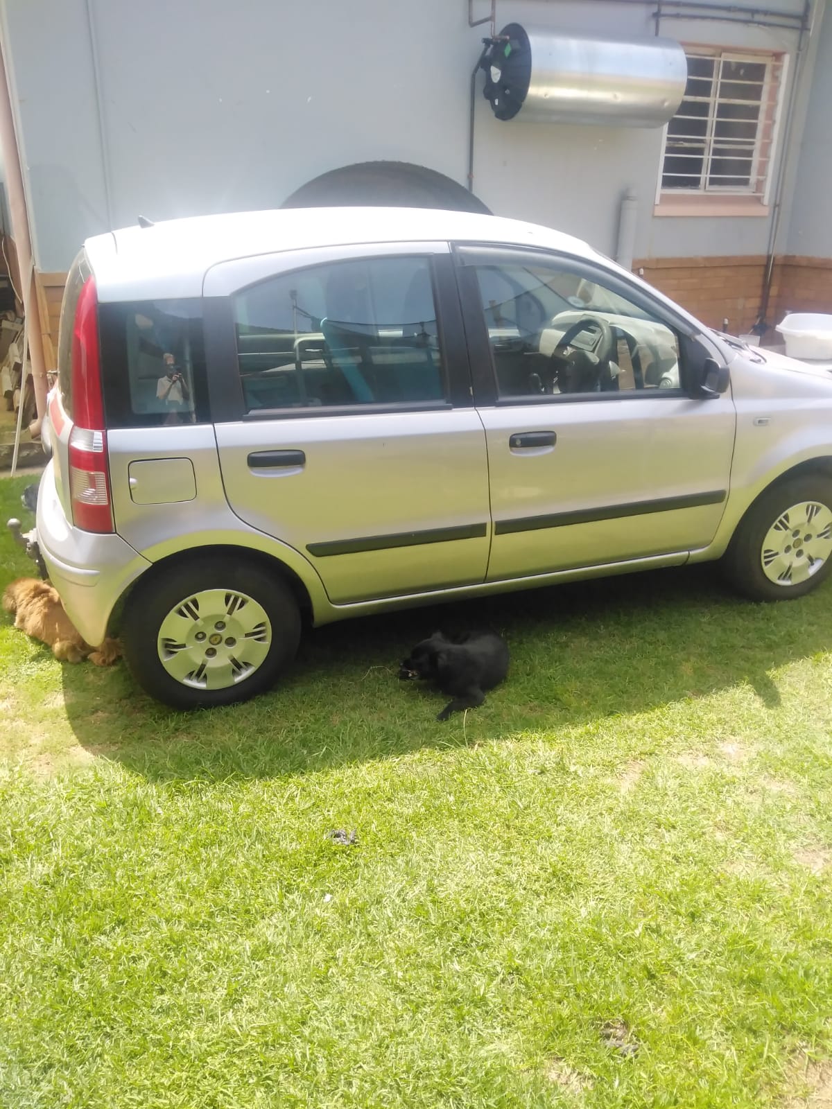 Used 2006 Fiat Panda 1.2 Dynamic - Private Seller Used 2006 Fiat Panda 1.2 Dynamic - Private Seller