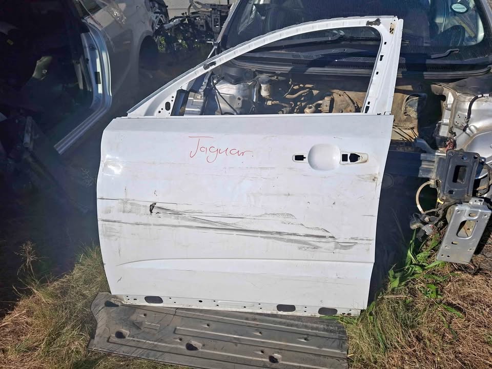 Jaguar door for sale - Private Seller Jaguar door for sale - Private Seller