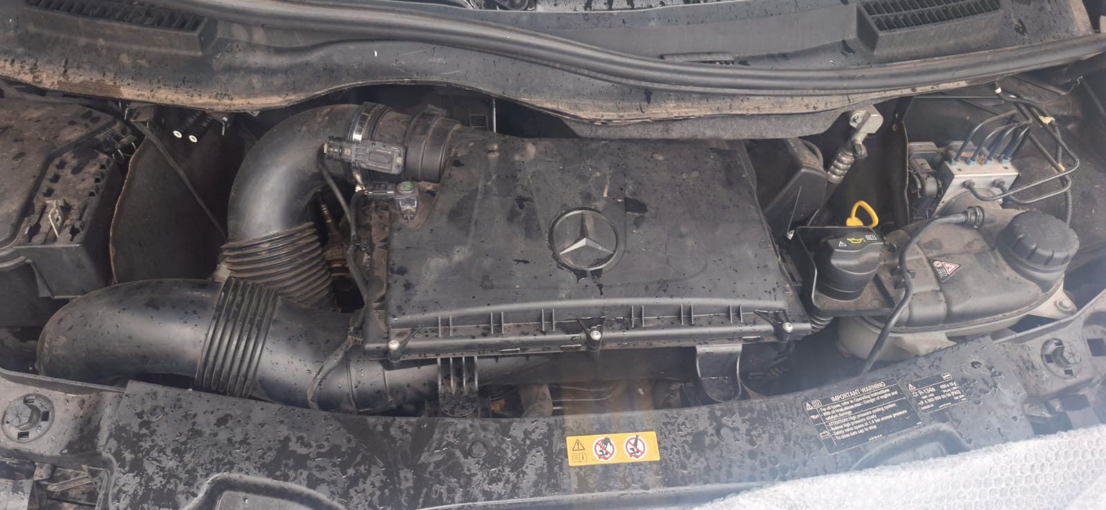 2021 Mercedes V250 M651 Bluetec Engine for Sale – Second Hand