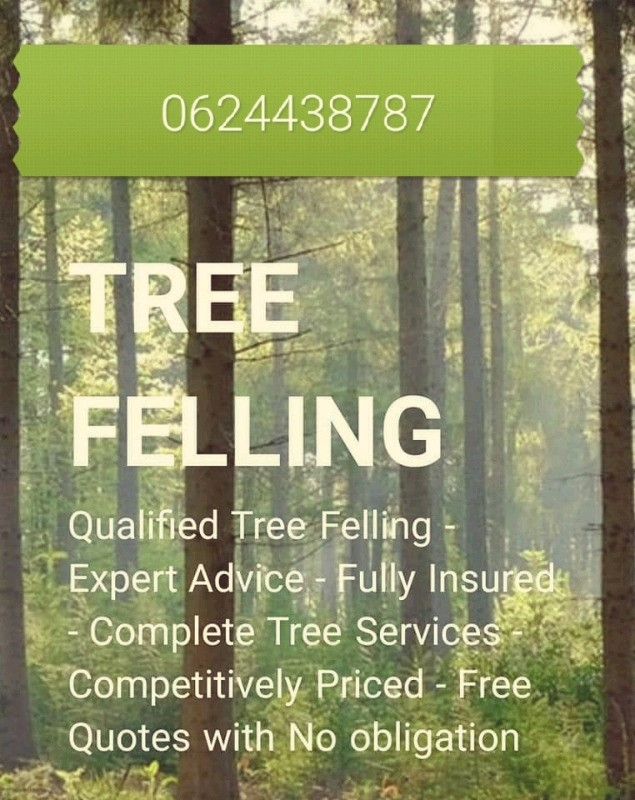Tree felling service