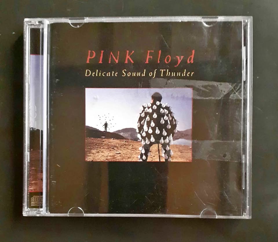 Pink Floyd – Delicate Sound of Thunder (2 CD Set) Pink Floyd – Delicate Sound of Thunder (2 CD Set)