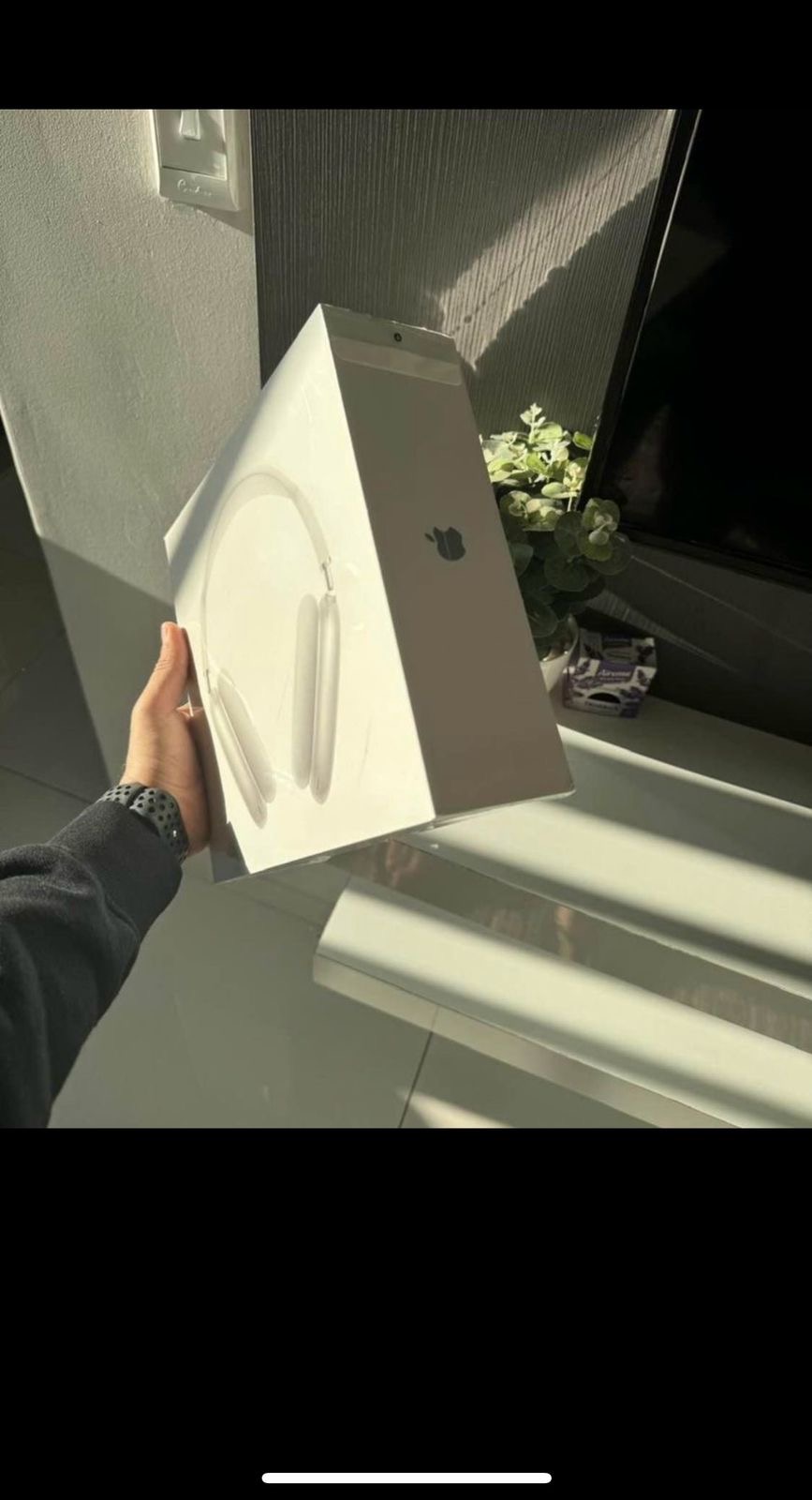Brand new Apple Airpods max
