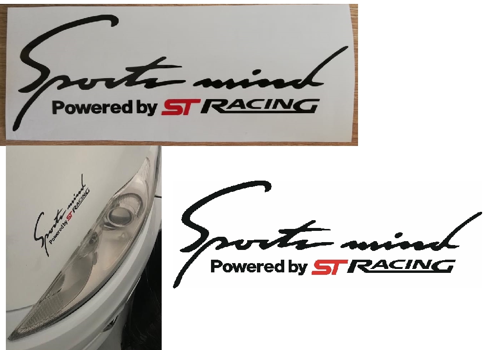 Ford Focus ST grille badge / decals stickers vinyl cut graphics - Private Seller