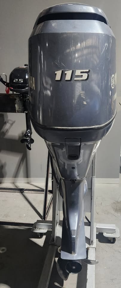 2010 OUTBOARD MOTORS  2 AND 4 STROKES