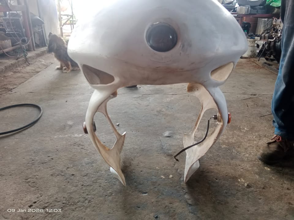 honda vtr1000 firestorm parts - Private Seller honda vtr1000 firestorm parts - Private Seller