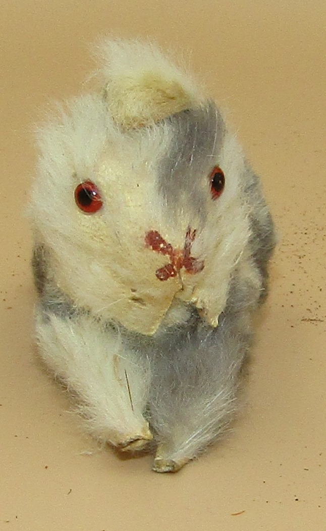 Handmade Toy Rabbit - wood & pelt