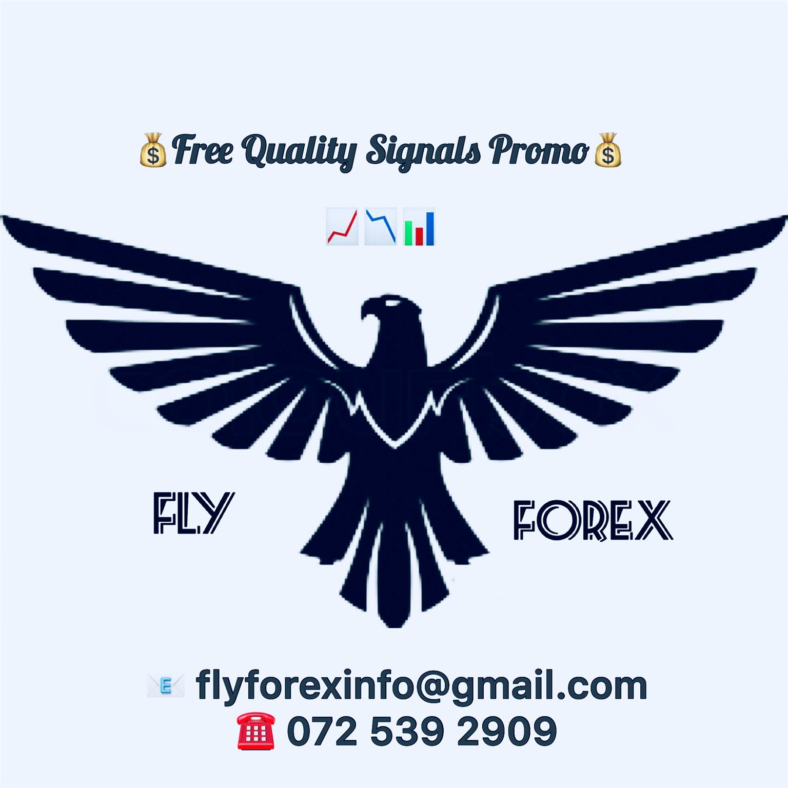 Forex Signals Junk Mail - 