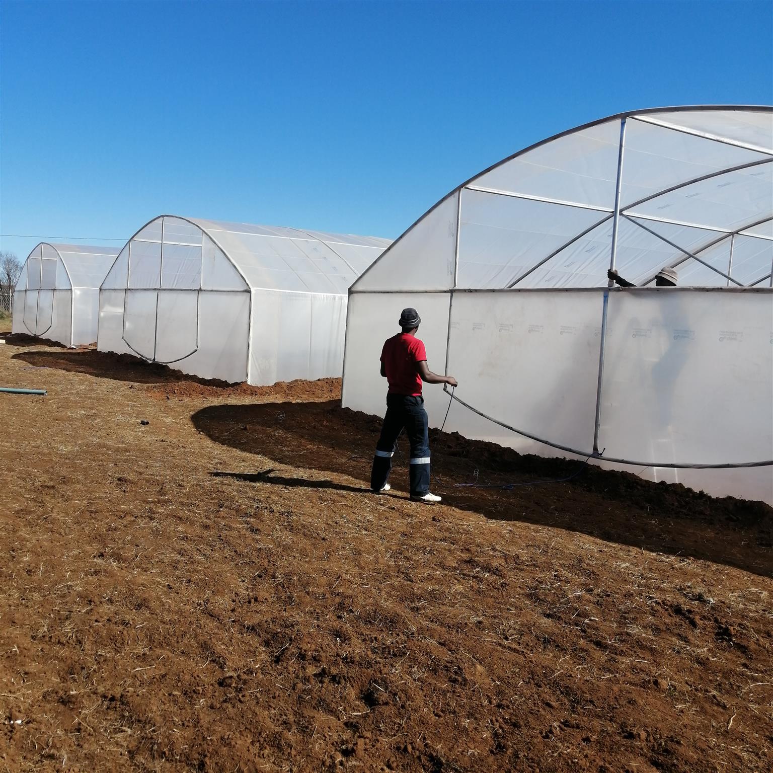 VEGETABLE TUNNELS FOR SALE .GREENHOUSE TUNNELS SOUTH AFRICA