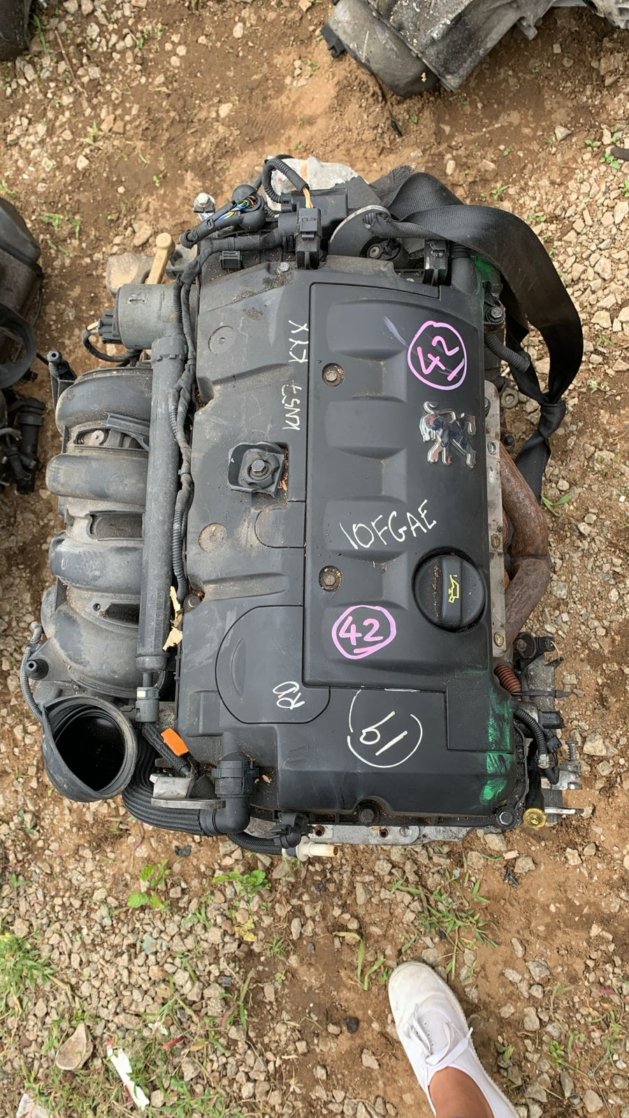N12 1.6 Non-Turbo Engine For Sale - Mini Cooper, Peugeot & Citroën Import Engine - Private Seller N12 1.6 Non-Turbo Engine For Sale - Mini Cooper, Peugeot & Citroën Import Engine - Private Seller