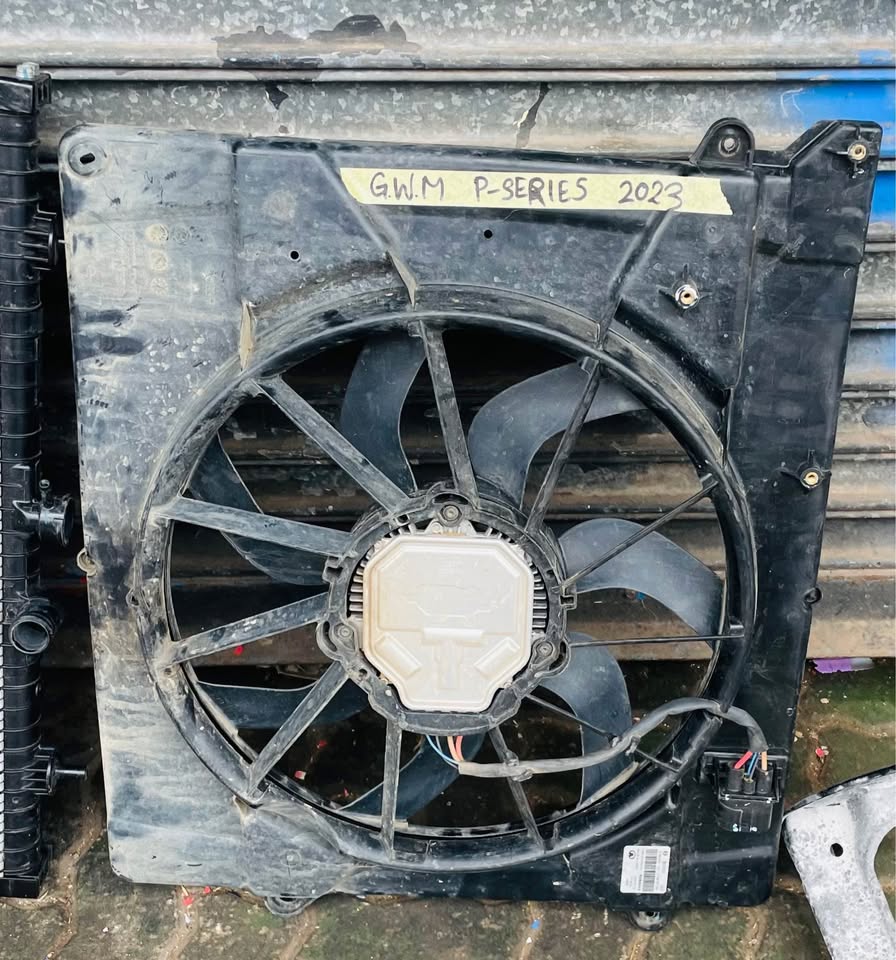 GWM P-Series fan 2022/23 - Private Seller