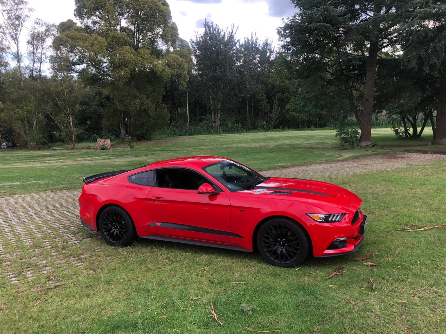 Used 2016 Ford Mustang 2.3T fastback auto - Private Seller Used 2016 Ford Mustang 2.3T fastback auto - Private Seller