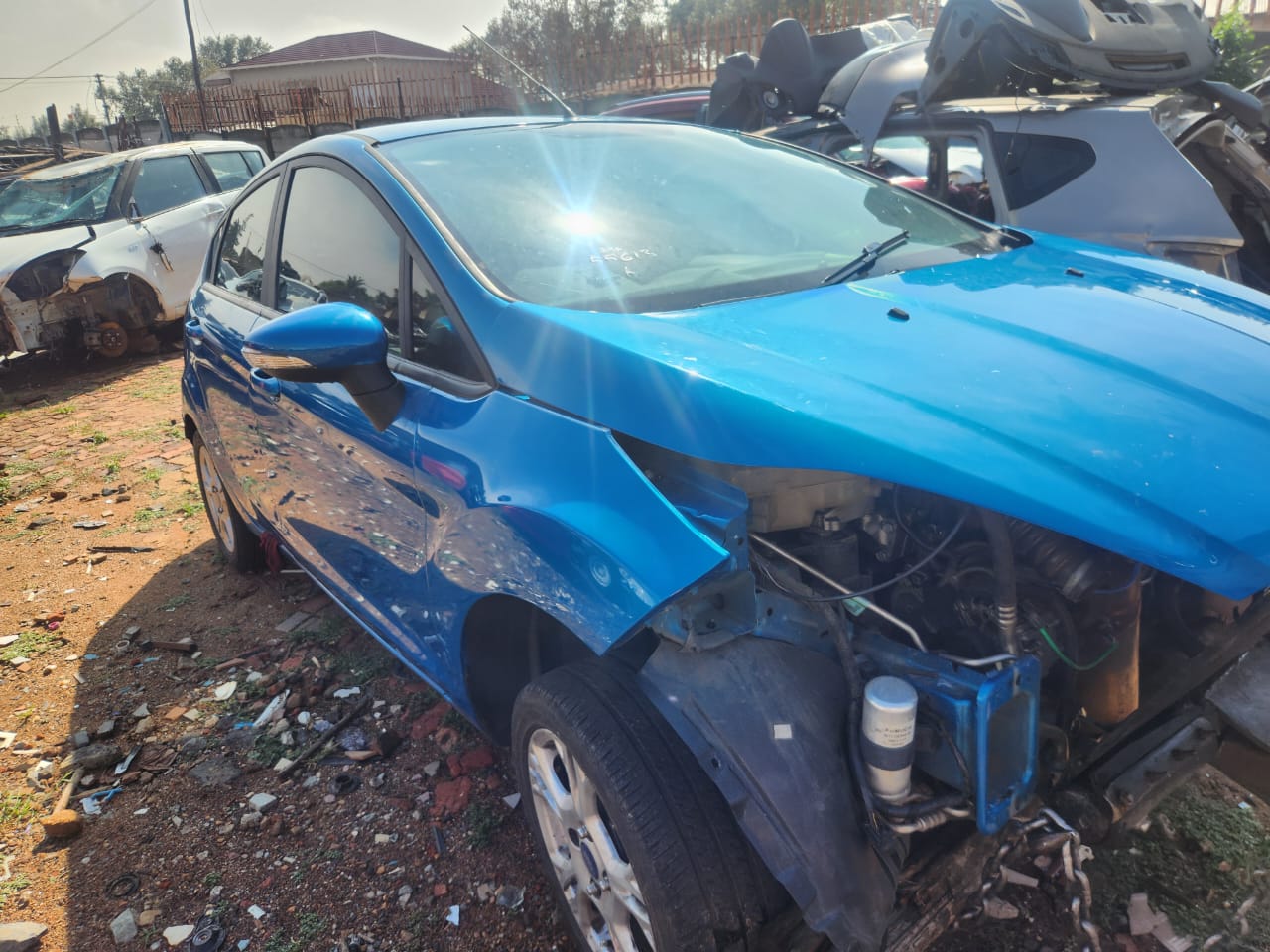 Ford Fiesta TDCi Diesel strip