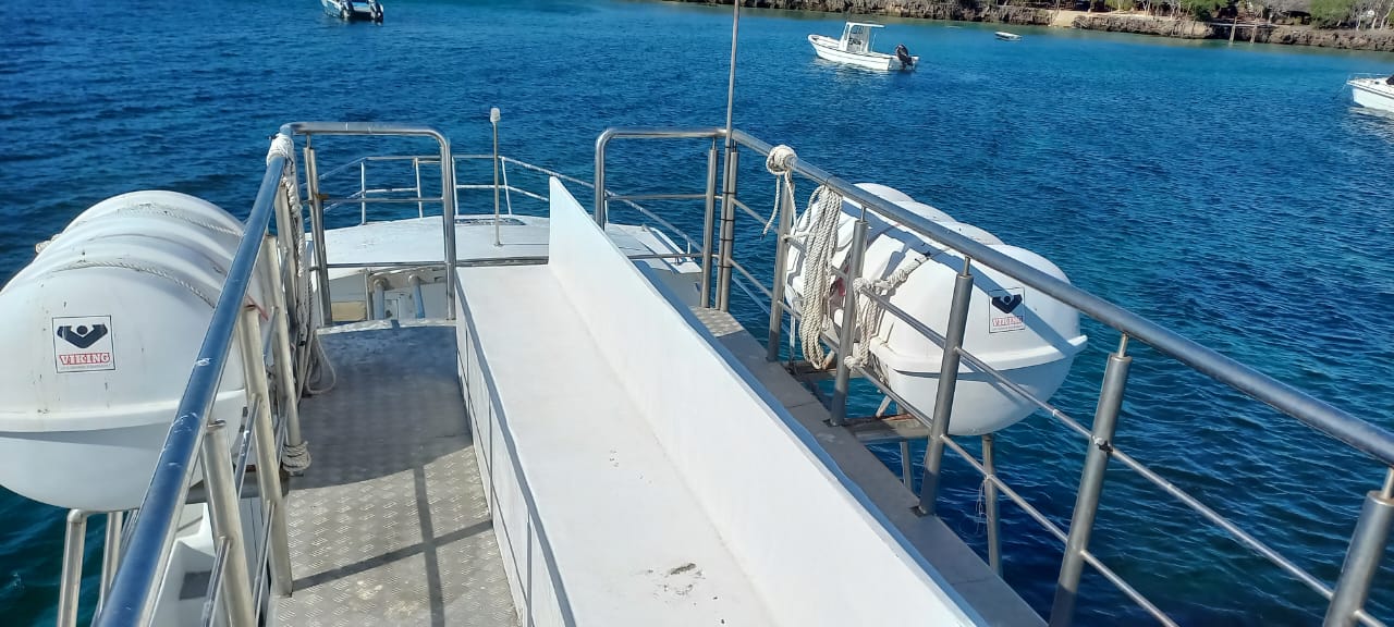 41.5Ft Hysucat