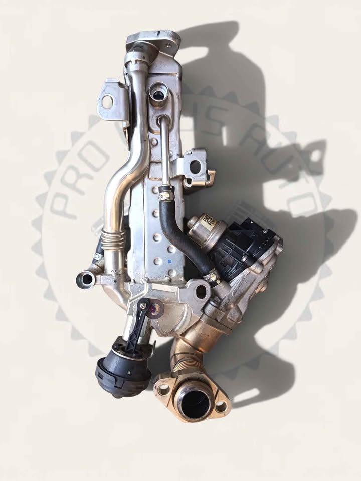 Preloaded Image 4