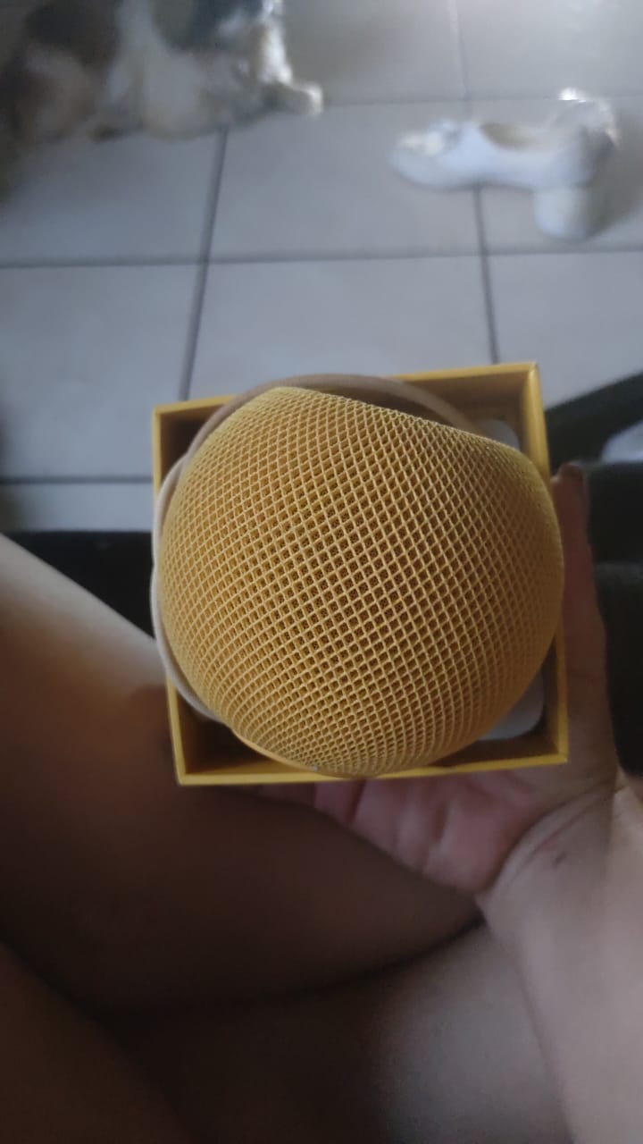 Apple homepod