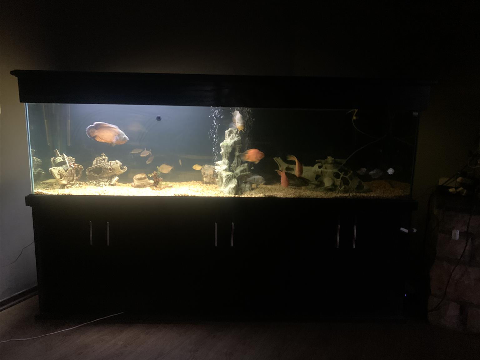 Full House Tank Including Fish and evrything included Tank Mesure - 70x600x2.5