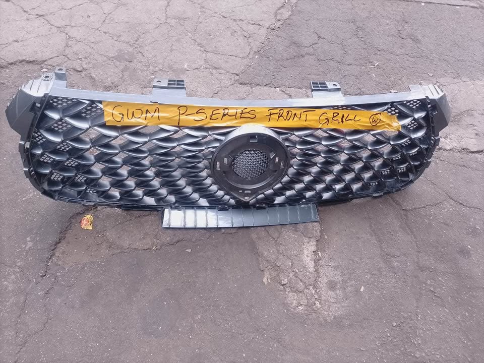 Gwm p-series Front Grill - Private Seller Gwm p-series Front Grill - Private Seller