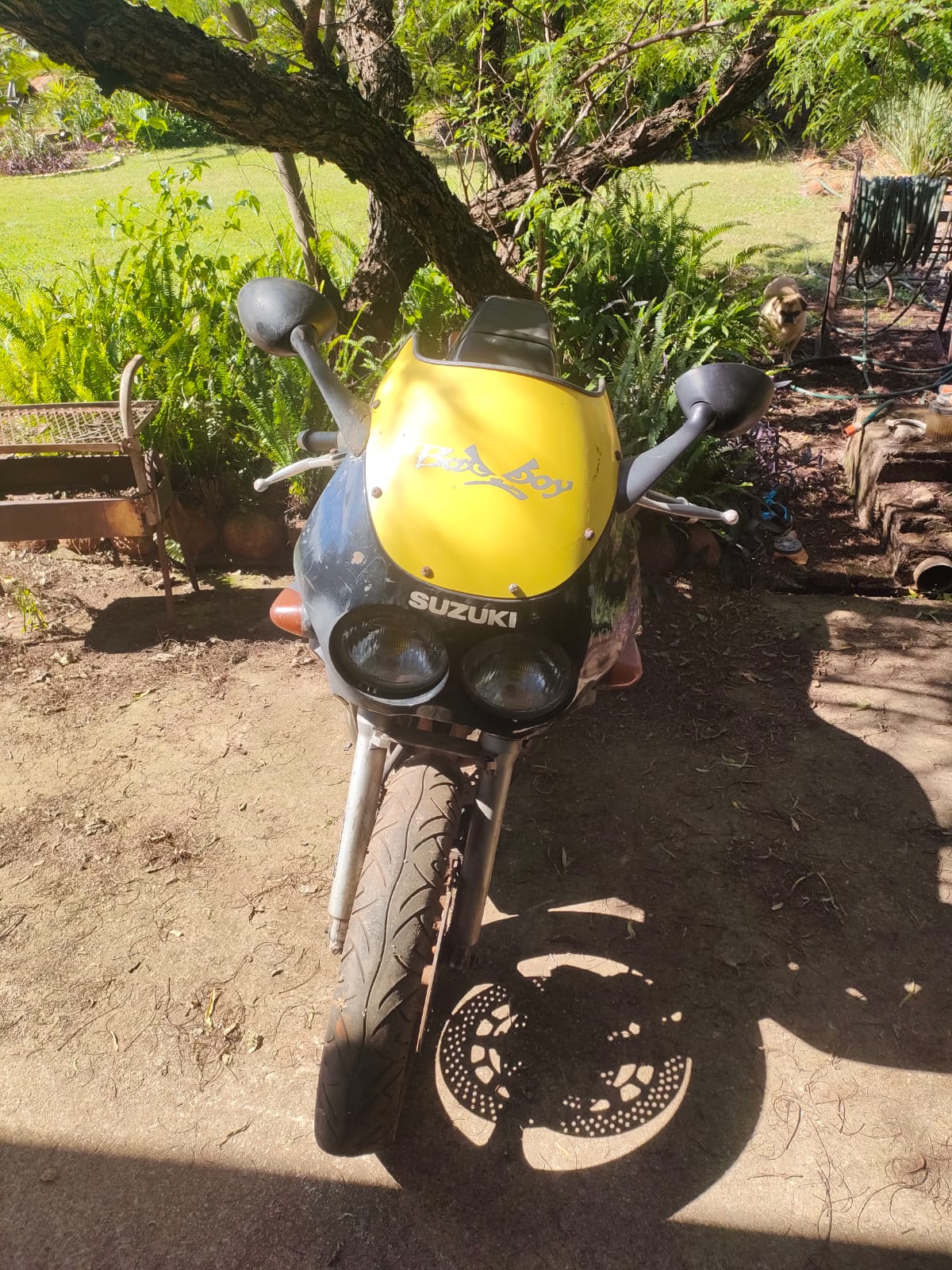 Used 1989 Suzuki GSX - Private Seller Used 1989 Suzuki GSX - Private Seller