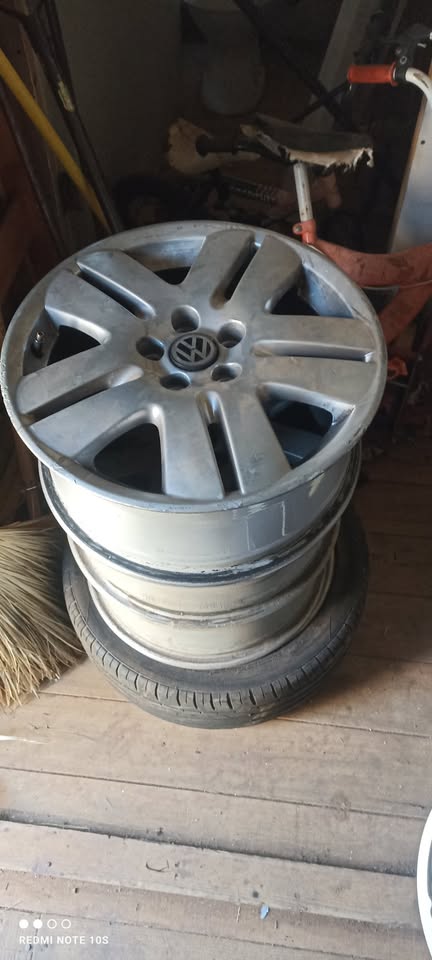 Polo mags for sale