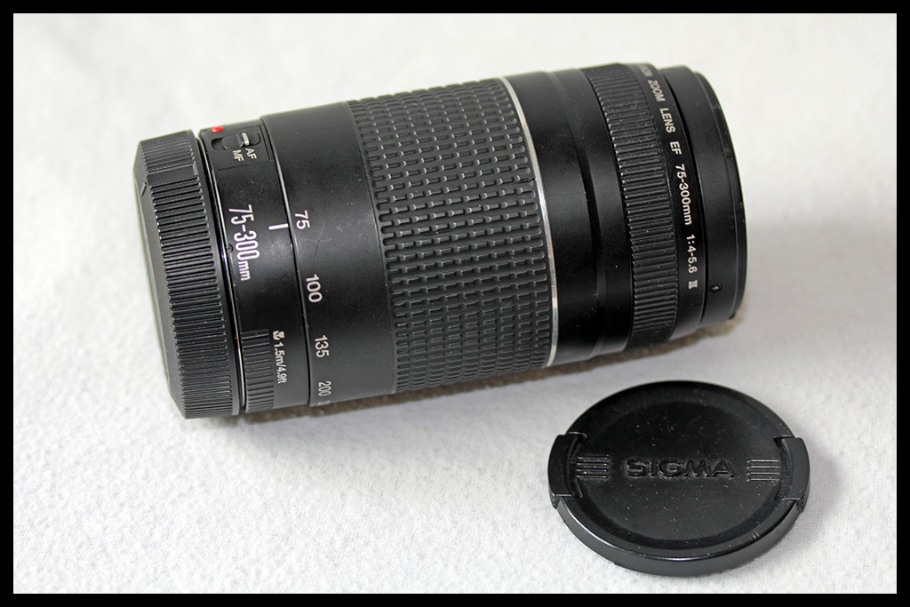 Canon EF 75-300mm f/4-5.6 III