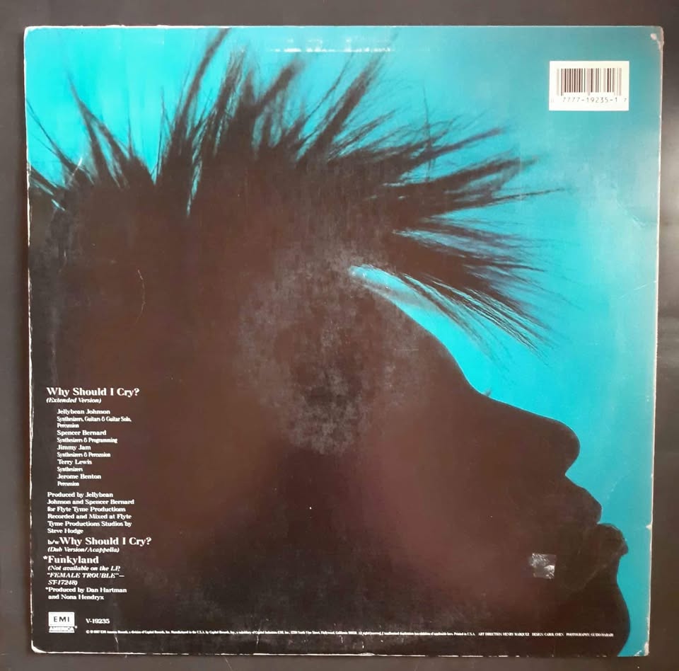 Nona Hendryx - Why Should I Cry? 12" Single Record