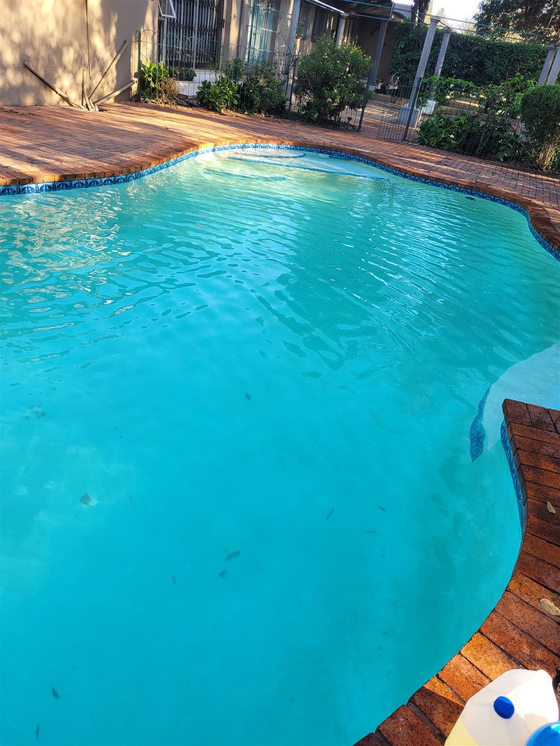 Begonia pool service | Junk Mail