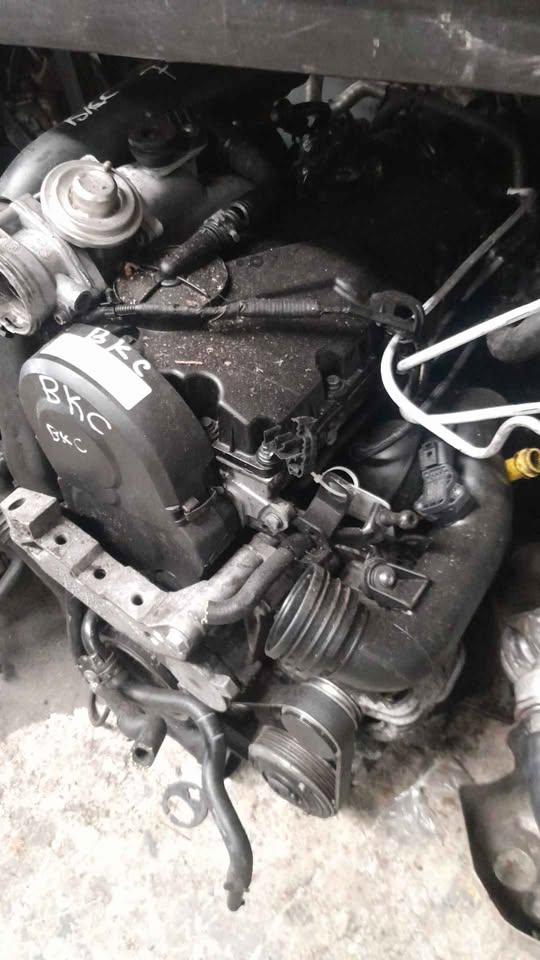 VW and AUDI 1.9tdi 2.0 tdi ATD BKC BXE BKD BJB diesel import engines for sale - Private Seller VW and AUDI 1.9tdi 2.0 tdi ATD BKC BXE BKD BJB diesel import engines for sale - Private Seller