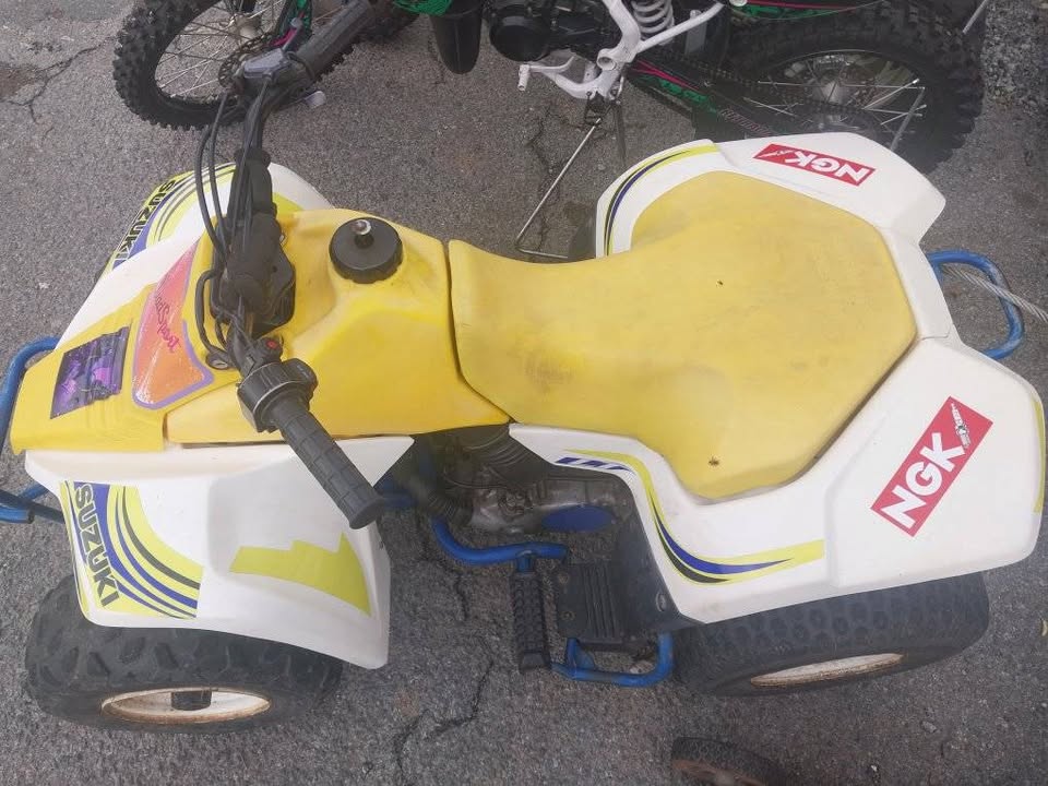 Used Steed Sintaur Chopper - Private Seller