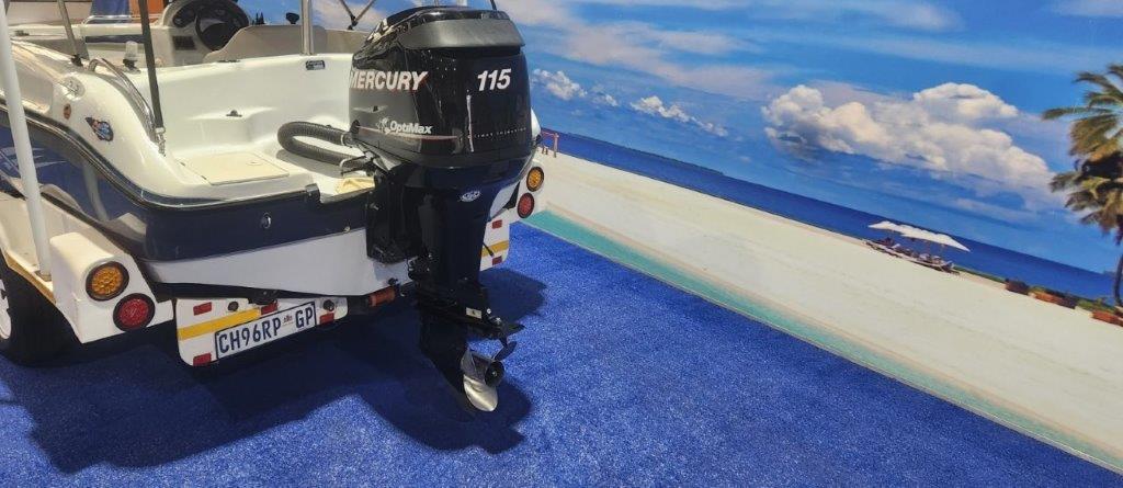 RAVEN EXCALDO 17 FT ON TRAILER 115 HP MERCURY OPTIMAX 2012 MODEL