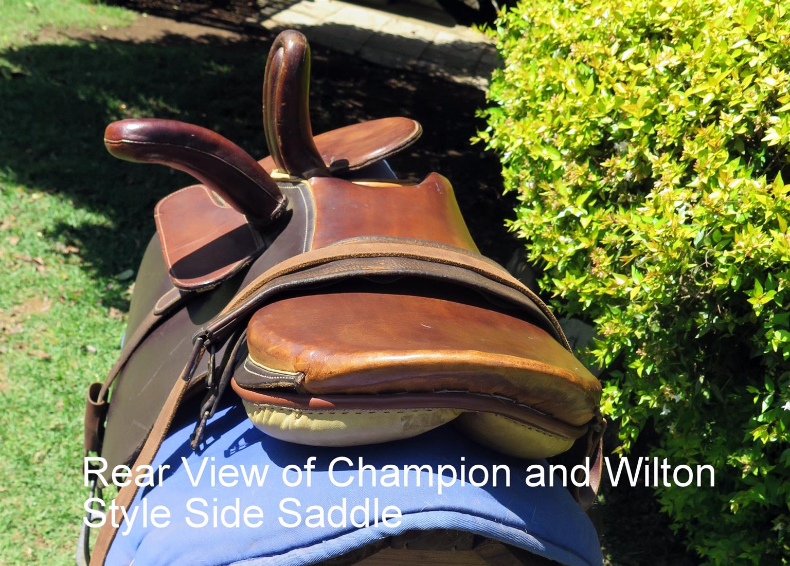 Champion and Wilton Style Side Saddle