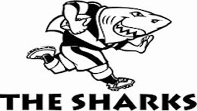 Sharks Rugby Ice Buckets. Brand New Products.