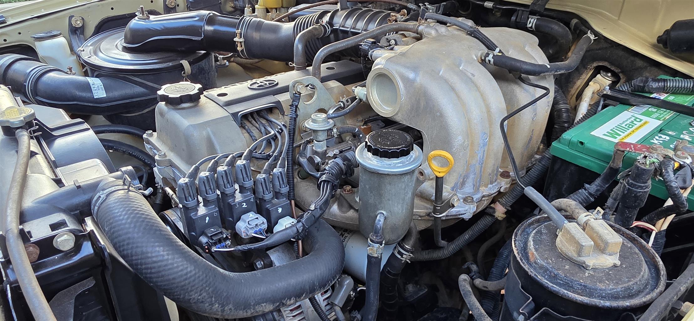 4.5 efi Land Cruiser single cab