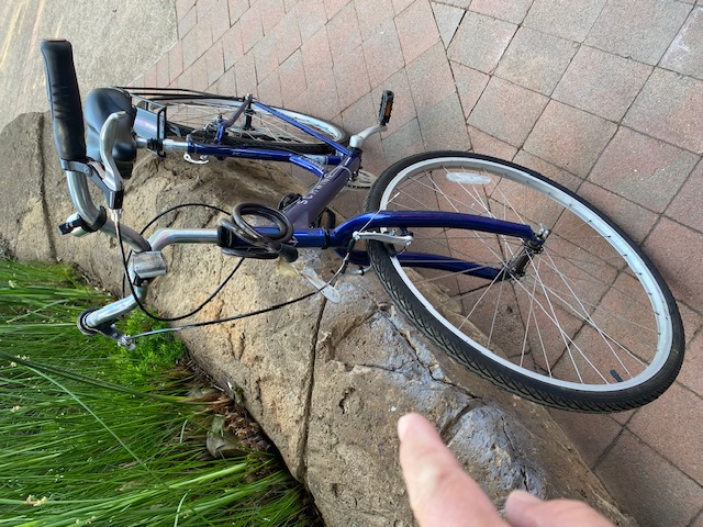 Bicycle Schwinn Voyageur 7 "M"