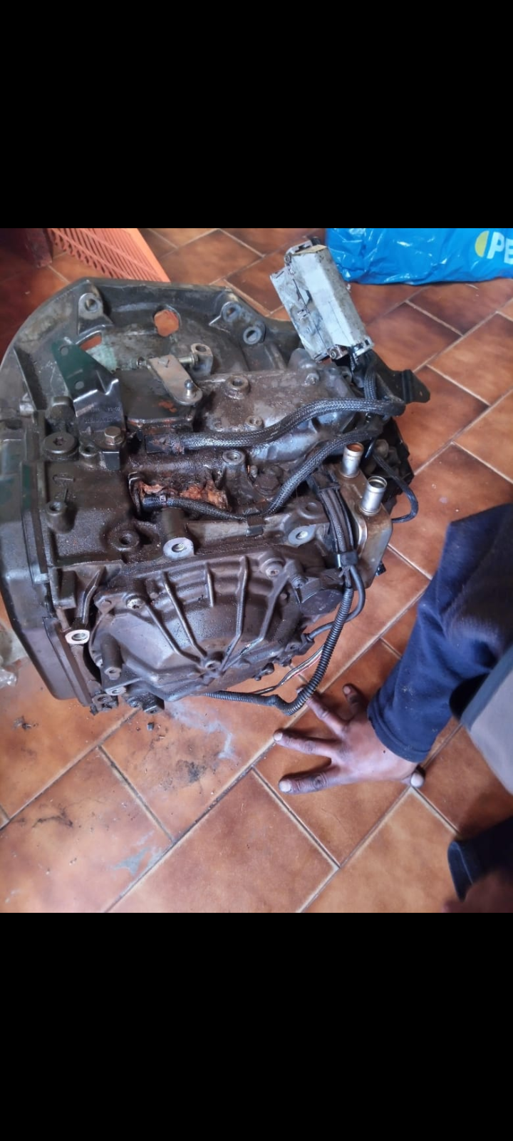 Body Parts - Private Seller