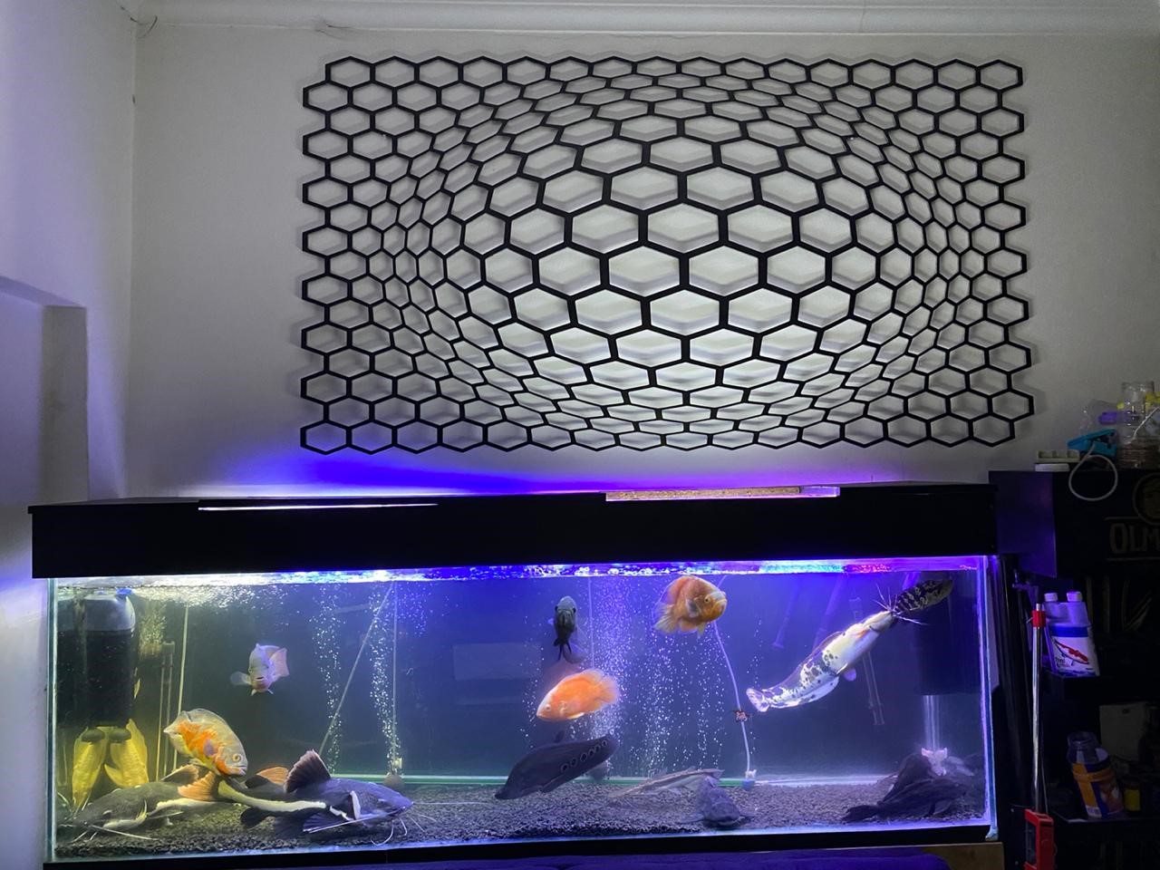 2m Fish Tank with accessories 