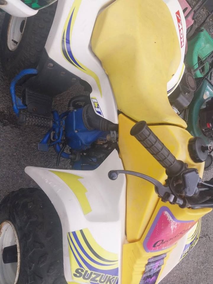Used Steed Sintaur Chopper - Private Seller