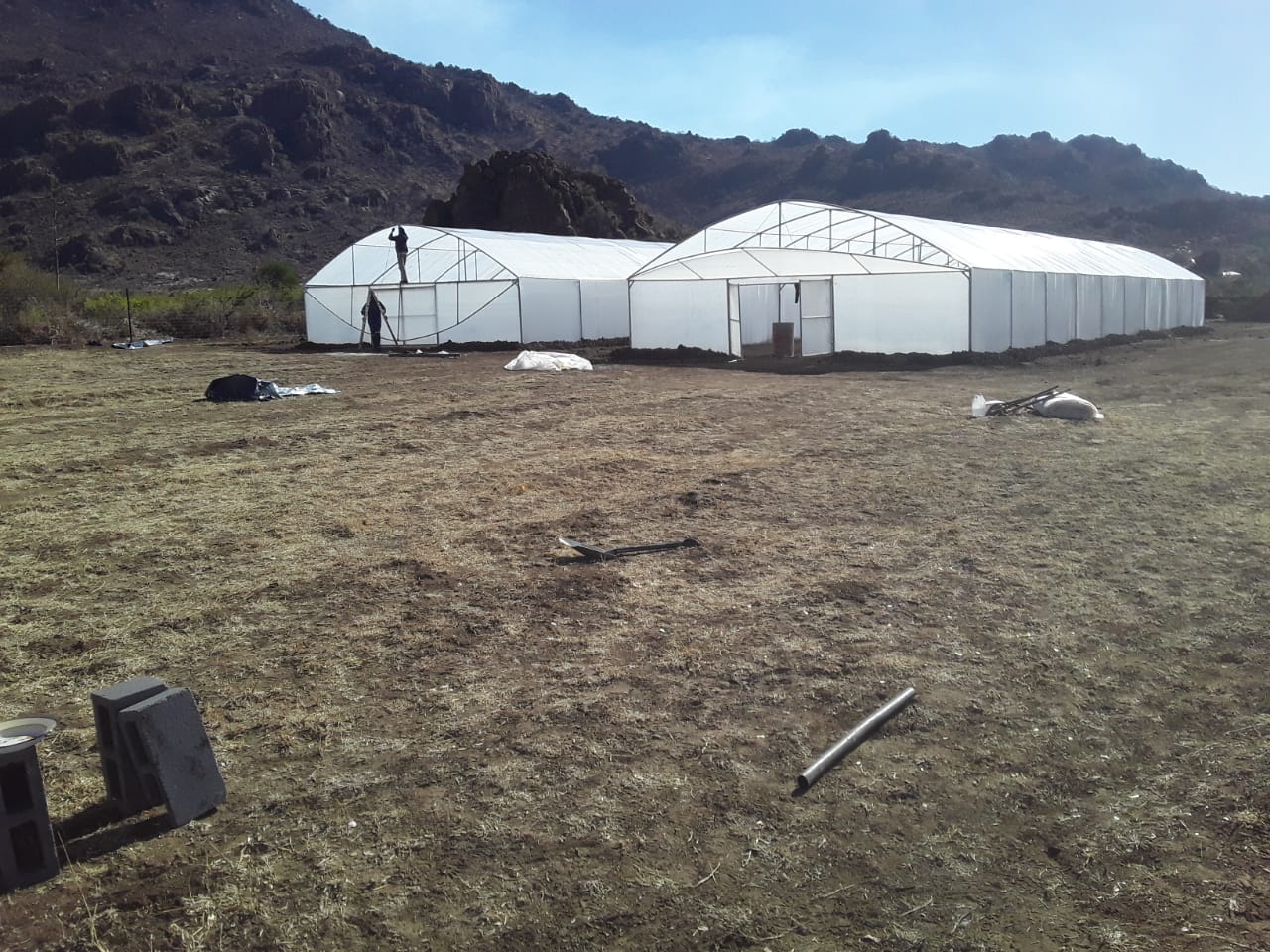Greenhouses for sale