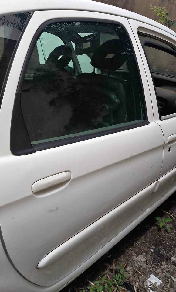 Citroen Xsara Picasso RR door