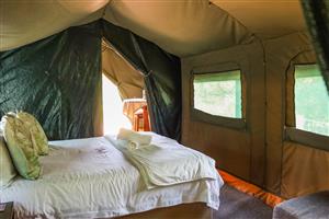 Accommodation To Rent