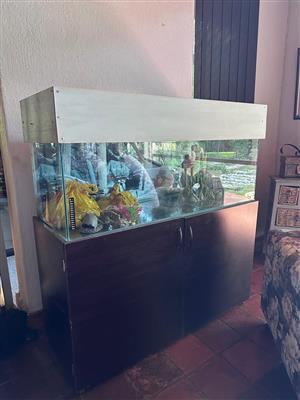 Large Fish Tank Complete Setup – Tank, Stand, Filter, Lights, Heater & Access
